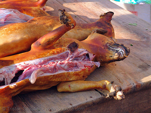 dog meat shop