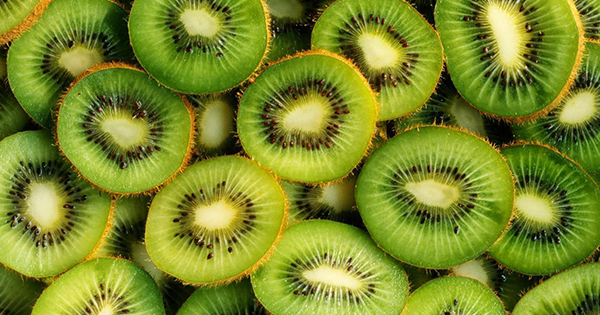 kiwi