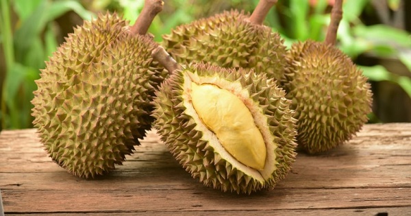 shutterstock 422852002