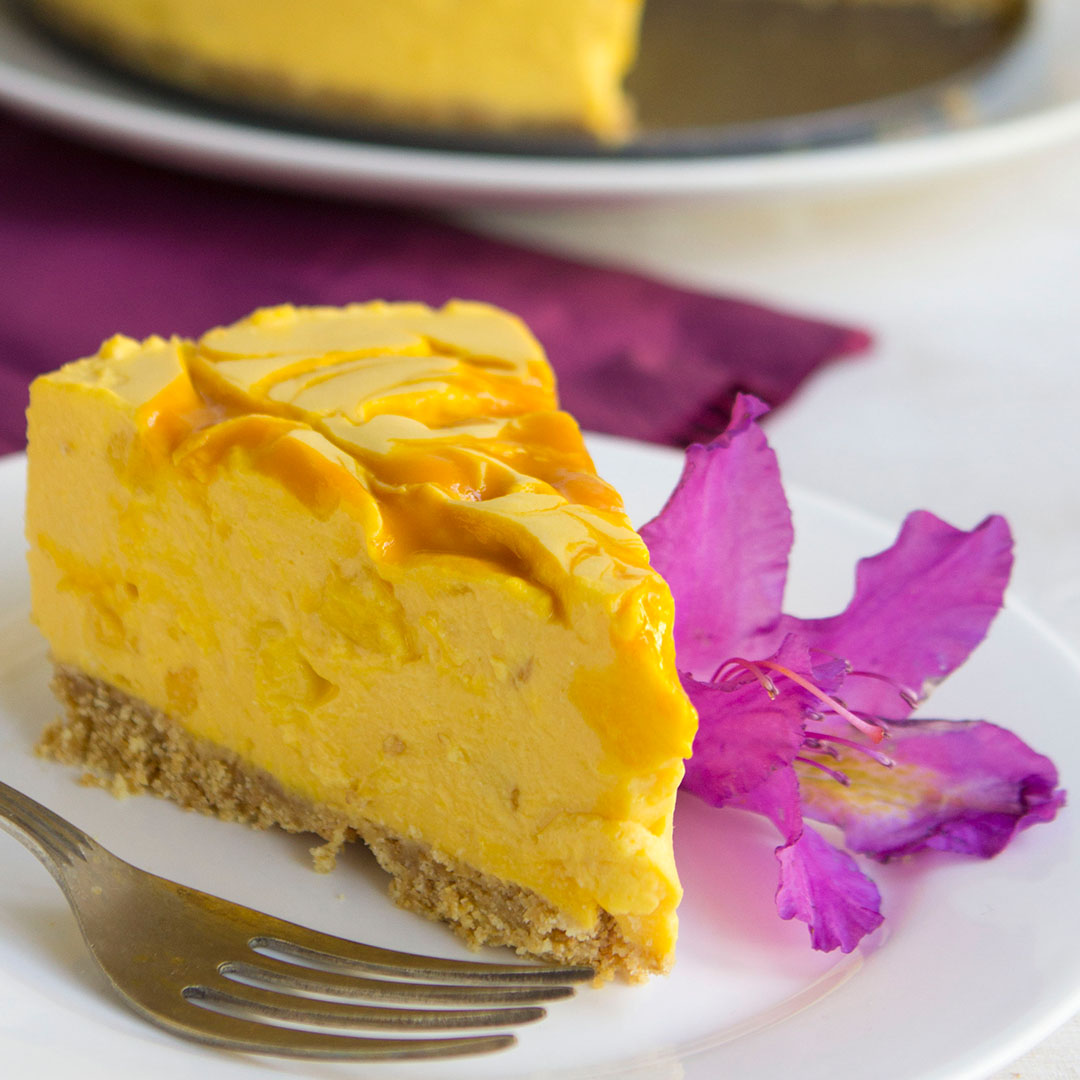 pxqrocxwsjcc 3vzdIshnuwOsWMMo8kCW44 mango cheesecake squareThumbnail en US