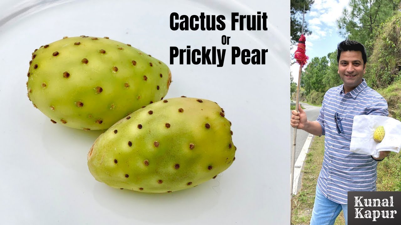 Cactus Fruit, नागफनी Prickly Pear How to cut & Eat ...
