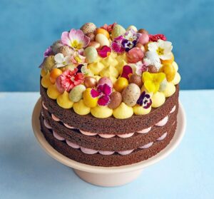 Chocolate vanilla celebration cake